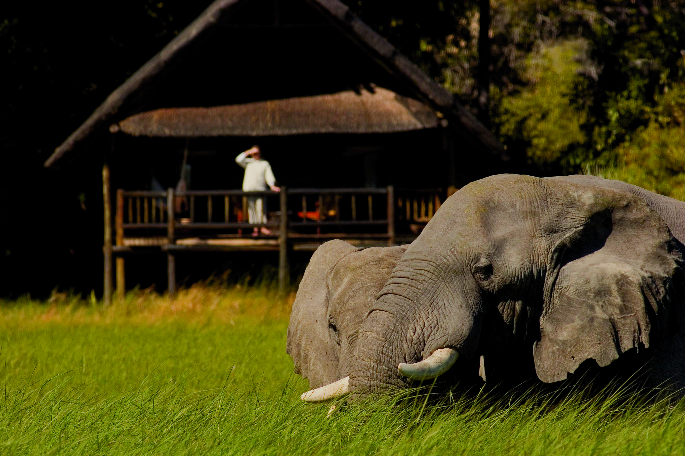 Easter Botswana Safari