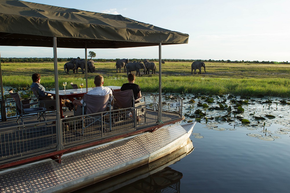 Liquid Giraffe, Wet Season Safari, Summer Wet Season Safari, Southern Africa Safari, Chobe National Park, Namib-Nauklaft