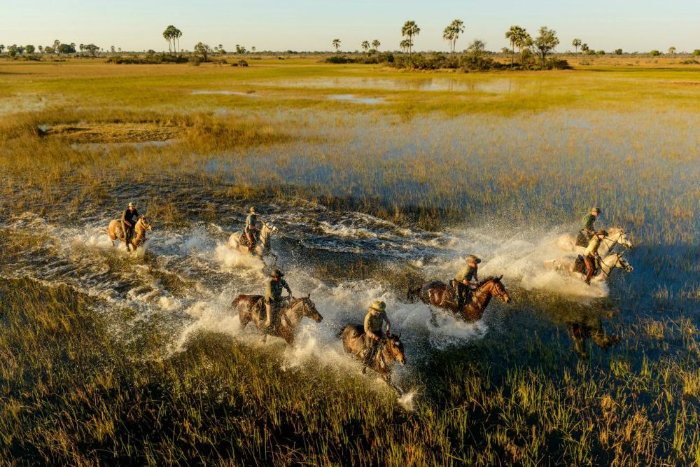 in the saddle, Botswana horse riding safari