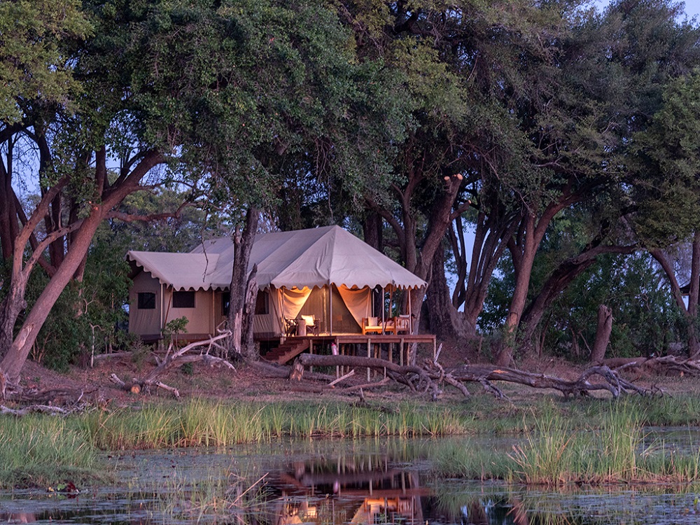 family safari in Botswana, Liquid Giraffe, Maun Waterfront Guesthouse, Wilderness Safaris