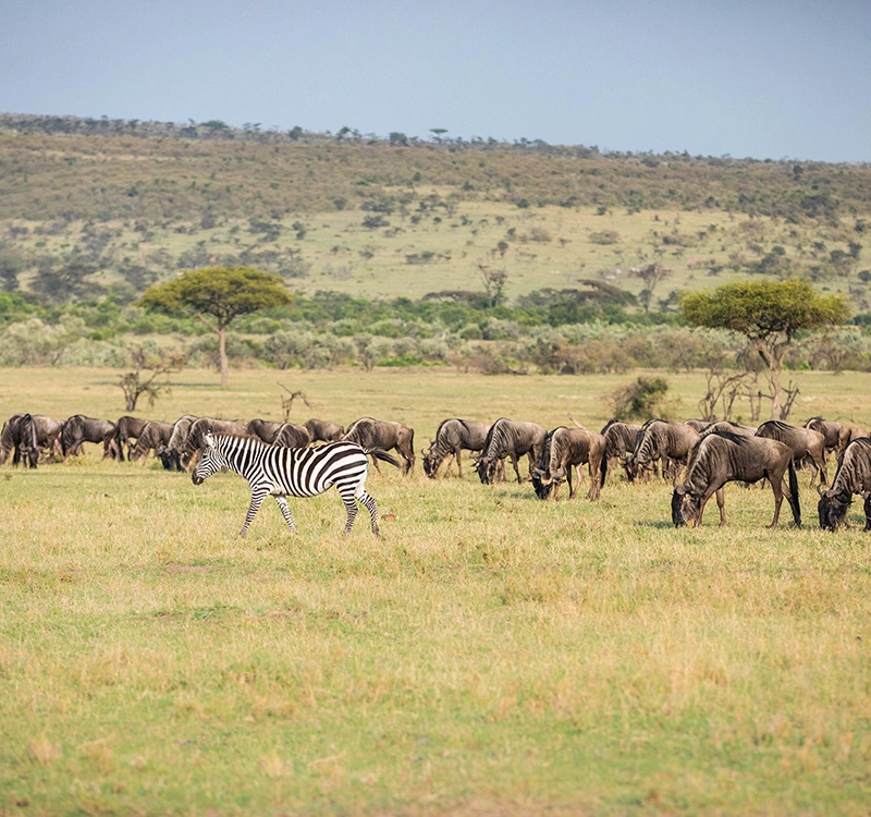 How to get to Kenya