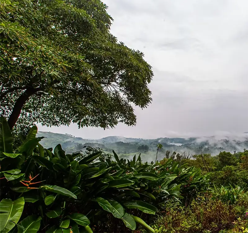Uganda